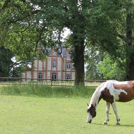 Chateau De Beauchene Chambres D'Hotes Allogny Esterno foto